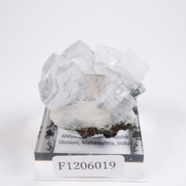 ブラジル産 シトリン | 鉱物標本,カ行,クォーツ/水晶 | ほたるみねらる