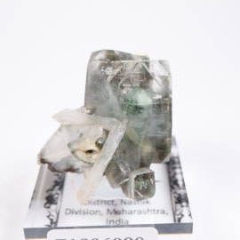 大分県尾平鉱山 まりも水晶 | 鉱物標本,カ行,クォーツ/水晶 | ほたるみ