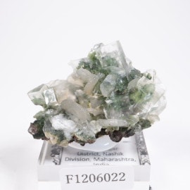 ����ɻ� ���ݥե��饤��