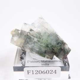 ����ɻ� ���ݥե��饤��