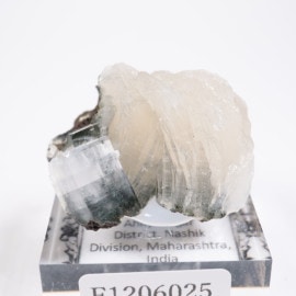 ����ɻ� ���ݥե��饤��