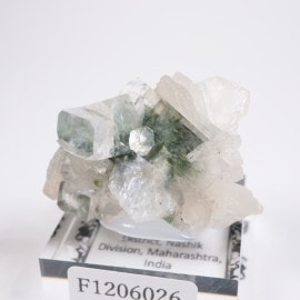 ����ɻ� ���ݥե��饤��