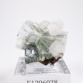 ����ɻ� ���ݥե��饤��