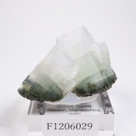 ����ɻ� ���ݥե��饤��