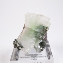 ����ɻ� ���ݥե��饤��