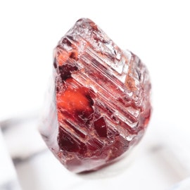 ���եꥫ�� �����ͥå�