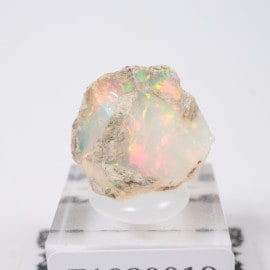 �������ԥ��� ���ѡ���