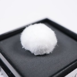 ����ɻ� �����ʥ���