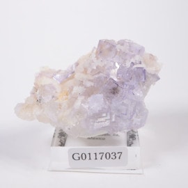 �ᥭ������ �ե����饤��