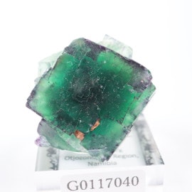 ヤオガンシャン鉱山 フローライト | 鉱物標本,ハ行,フローライト/蛍石