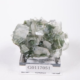 ����ɻ� ���ݥե��饤��