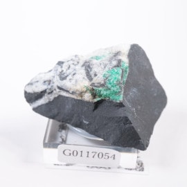 ������ӥ��� �������