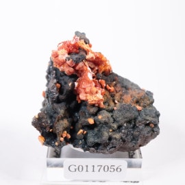 モロッコ産 バナディナイト | 鉱物標本,ハ行,バナディナイト/バナジン