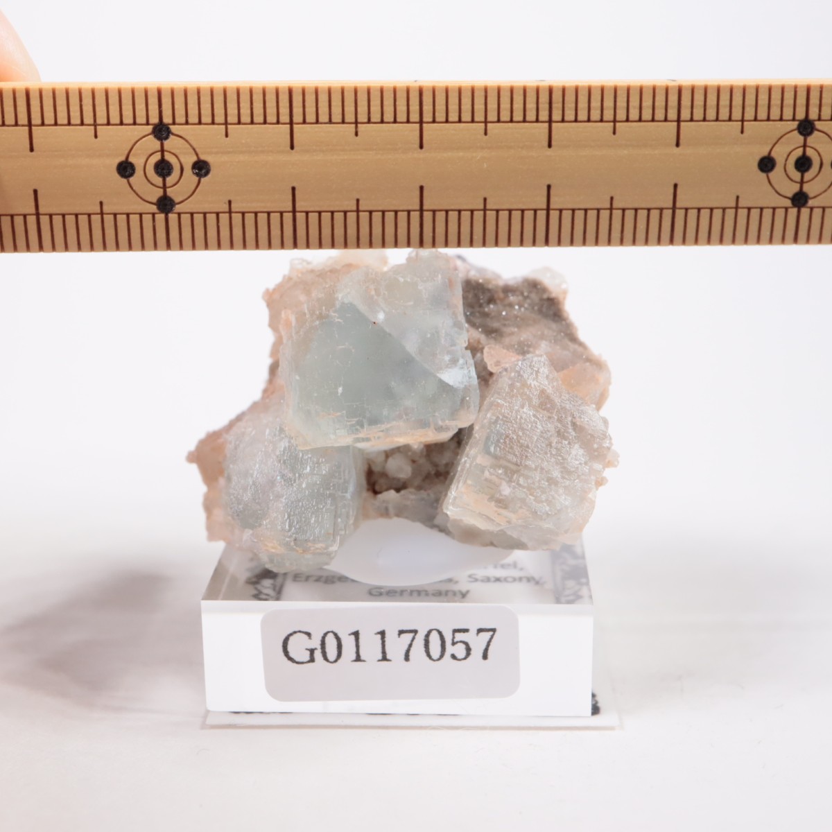 ドイツ産 フローライト | 鉱物標本,ハ行,フローライト/蛍石 | ほたるみ