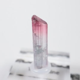 �֥饸�뻺 �ȥ�ޥ��