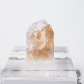 �����顼������ɹۻ� �ȥѡ���