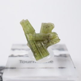 �֥饸�뻺 �ȥ�ޥ��