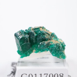 ツメブ鉱山産 ダイオプテーズ | 鉱物標本,タ行,ダイオプテーズ/翠銅鉱