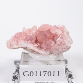 ���를����� �ԥ󥯥�������