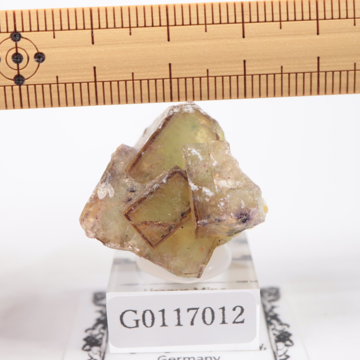 ドイツ産 フローライト | 鉱物標本,ハ行,フローライト/蛍石 | ほたるみ
