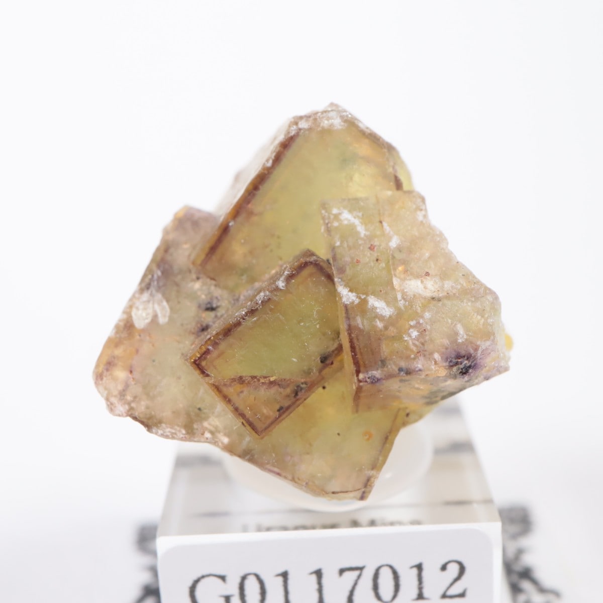 ドイツ産 フローライト | 鉱物標本,ハ行,フローライト/蛍石 | ほたるみ