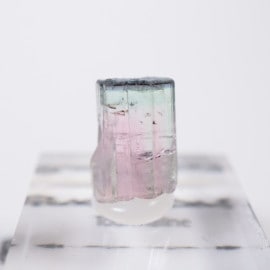 �֥饸�뻺 �ȥ�ޥ��