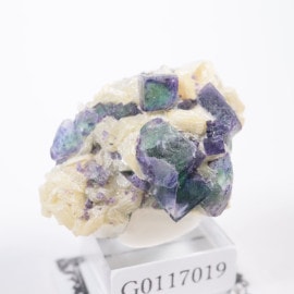 �����󥴹ۻ� �ե����饤��