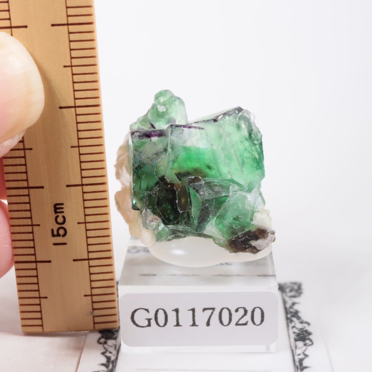 エロンゴ鉱山産 フローライト | 鉱物標本,ハ行,フローライト/蛍石