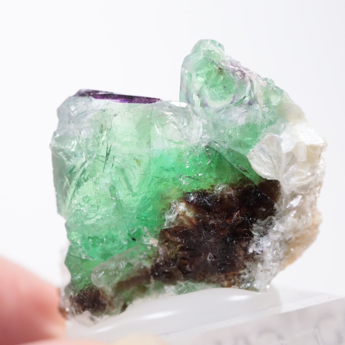 エロンゴ鉱山産 フローライト | 【新着】 | ほたるみねらるオンライン