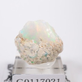 �������ԥ��� ���ѡ���