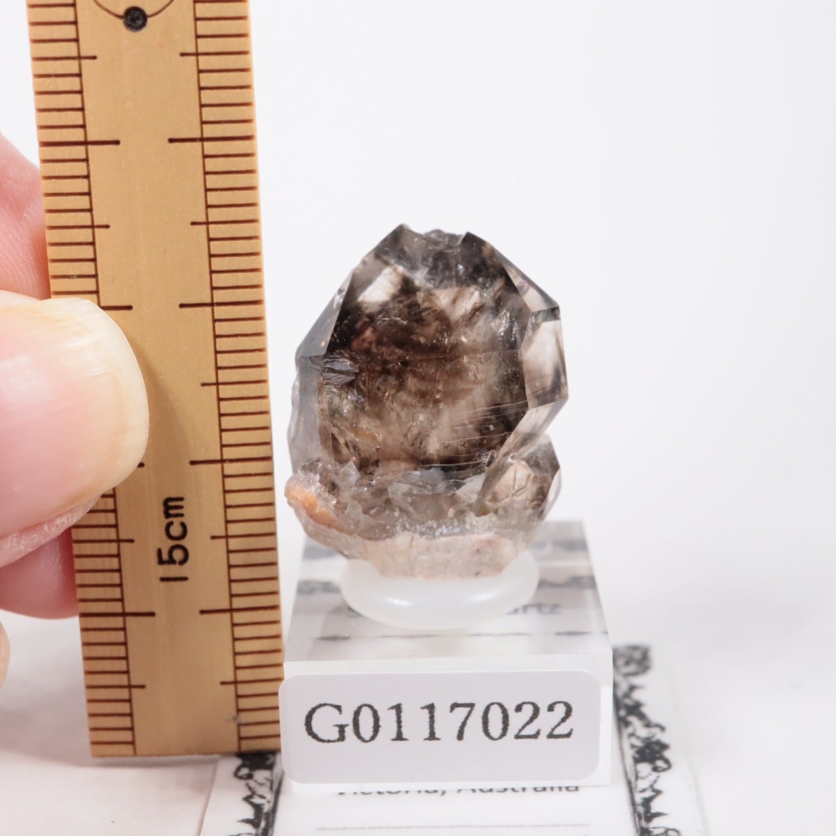 オーストラリア産 モララ水晶 | 鉱物標本,サ行,スモーキークォーツ/煙