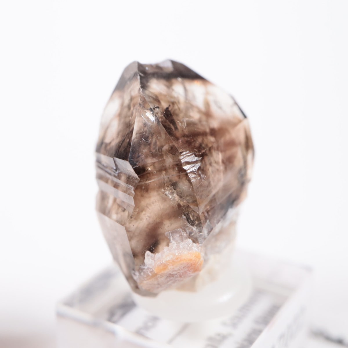 オーストラリア産 モララ水晶 | 鉱物標本,サ行,スモーキークォーツ/煙