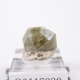 メキシコ産 ラズベリーガーネット | 鉱物標本,カ行,ガーネットグループ