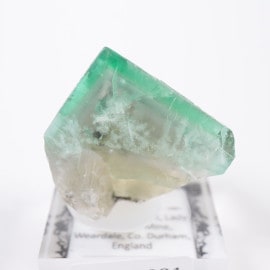 Poison Ivy Pocket�� �ե����饤��