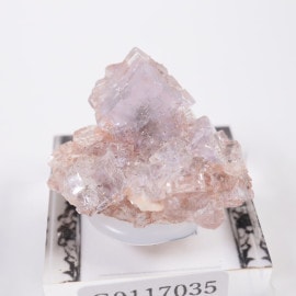 Purple Bunny Pocket産 フローライト | 鉱物標本,ハ行,フローライト/蛍