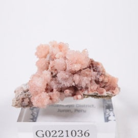 インド産 クローライトインクォーツ | 鉱物標本,カ行,クォーツ/水晶