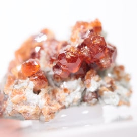 �����ꥢ�� �����ͥå�