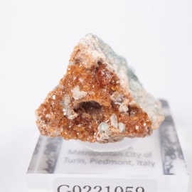 �����ꥢ�� �����ͥå�