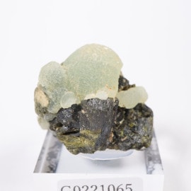 �ޥ껺 �ץ�ʥ��ȡ����ԥɡ���