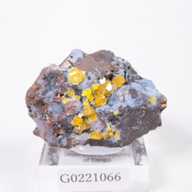 ���󥴻� �ߥ�å�����