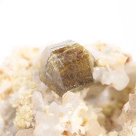 �ᥭ������ �٥��ӥ��ʥ���