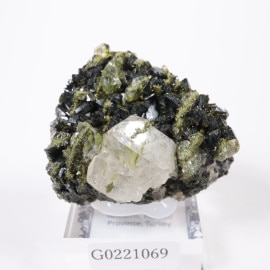 �ȥ륳�� ���ԥɡ��ȡ���������