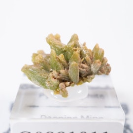 Daoping�ۻ� �ѥ������ե�����