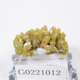 パイロモルファイト/緑鉛鉱」の取扱商品一覧 - ほたるみねらる