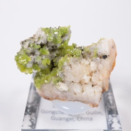 Daoping�ۻ� �ѥ������ե�����