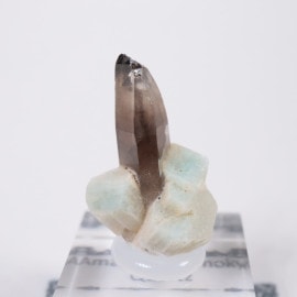 ������ɽ� ���ޥ��ʥ��ȡ����⡼������������