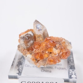 ��� ���ڥ���ƥ��󥬡��ͥå�