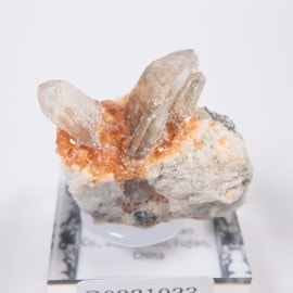 ��� ���ڥ���ƥ��󡢥��⡼������������