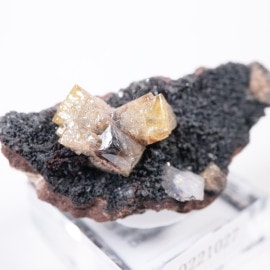 オハエラ鉱山 アダマイト | 鉱物標本,ア行,アダマイト/アダム鉱