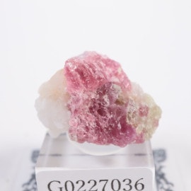 �٥ȥʥ໺ ���ԥͥ�